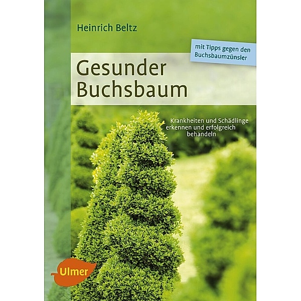 Gesunder Buchsbaum, Heinrich Beltz