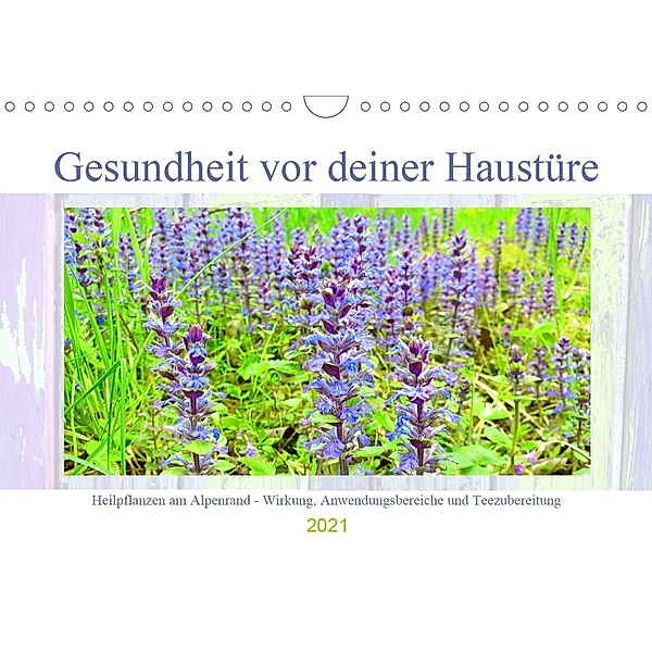 Gesundheit vor deiner Haustüre - Heilpflanzen am Alpenrand - Wirkung, Anwendungsbereiche und Teezubereitung (Wandkalende, Michaela Schimmack