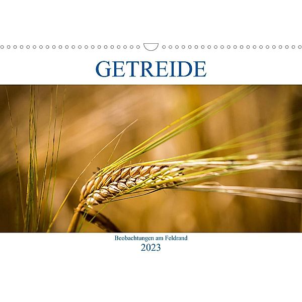 Getreide - Beobachtungen am Feldrand (Wandkalender 2023 DIN A3 quer), Gero von Kitzing