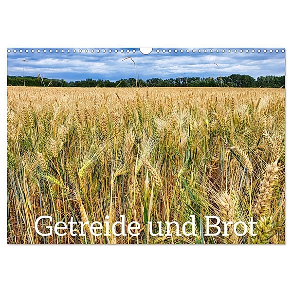 Getreide und Brot (Wandkalender 2024 DIN A3 quer), CALVENDO Monatskalender, Hans-Georg Vorndran