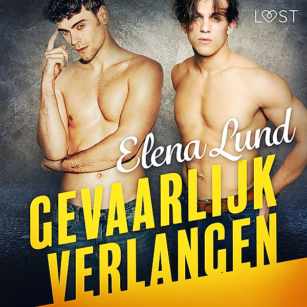 Gevaarlijk verlangen - 1 - Gevaarlijk verlangen - erotisch verhaal, Elena Lund