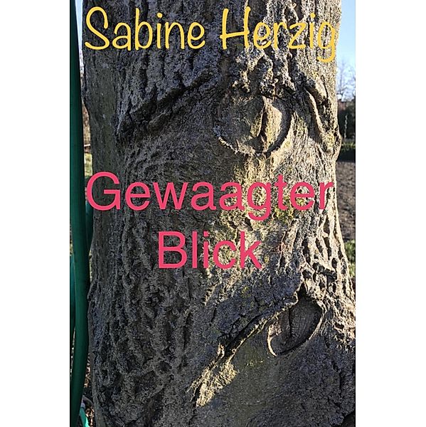 Gewaagter Blick, Sabine Herzig