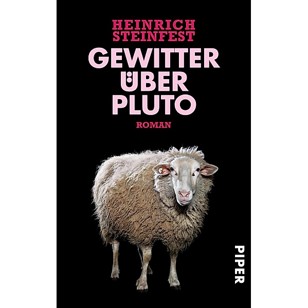Gewitter über Pluto, Heinrich Steinfest