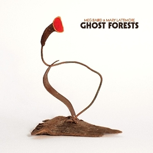 Ghost Forests, Meg And Mary Lattimore Baird