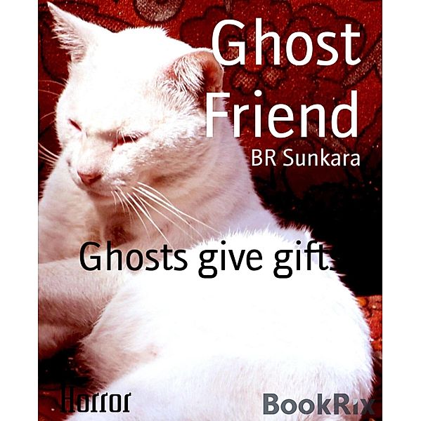 Ghost Friend, Br Sunkara