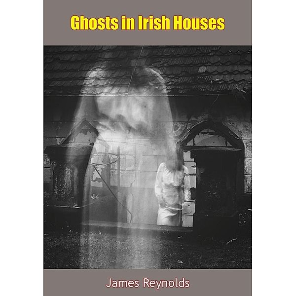 Ghosts in Irish Houses, James Reynolds