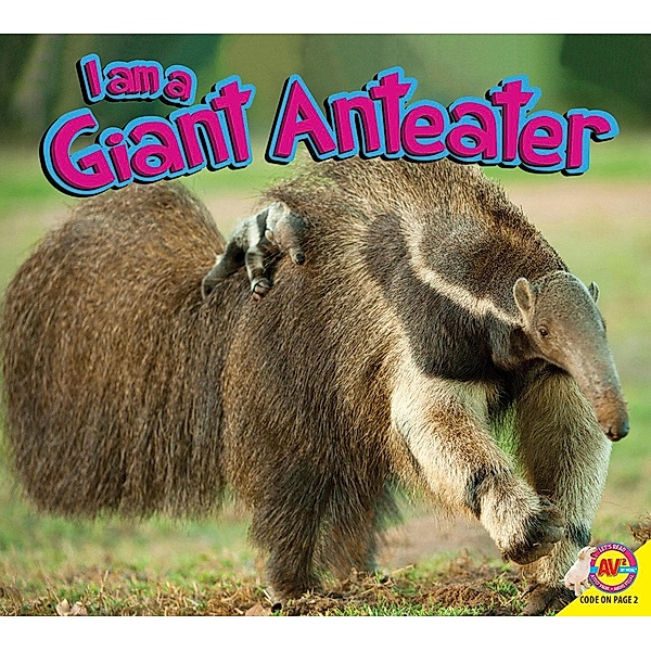 Giant Anteater, Katie Gillespie