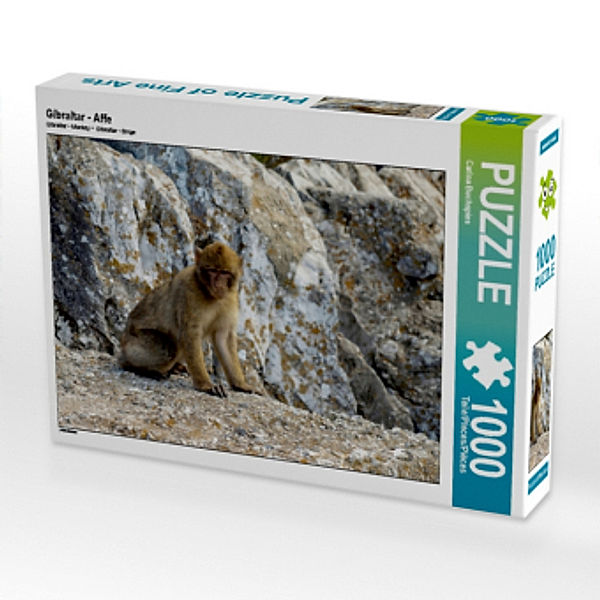 Gibraltar - Affe (Puzzle), Carina Buchspies