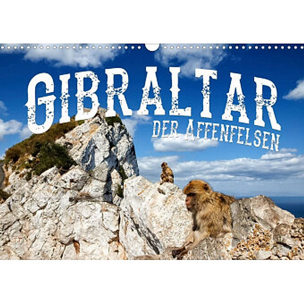 Gibraltar - der Affenfelsen (Wandkalender 2022 DIN A3 quer), Carina Buchspies