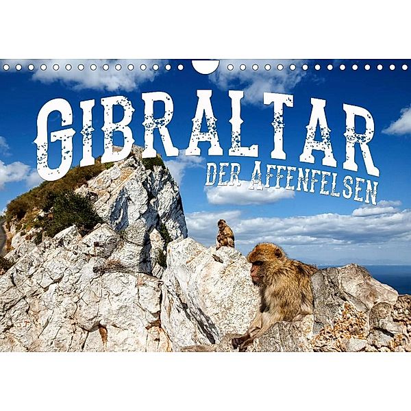 Gibraltar - der Affenfelsen (Wandkalender 2023 DIN A4 quer), Carina Buchspies