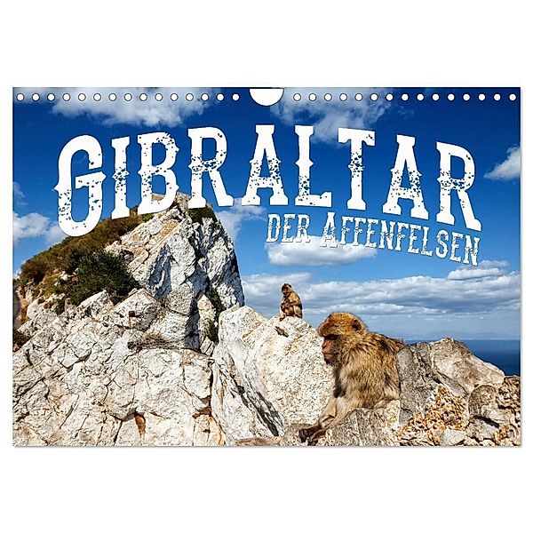 Gibraltar - der Affenfelsen (Wandkalender 2024 DIN A4 quer), CALVENDO Monatskalender, Carina Buchspies