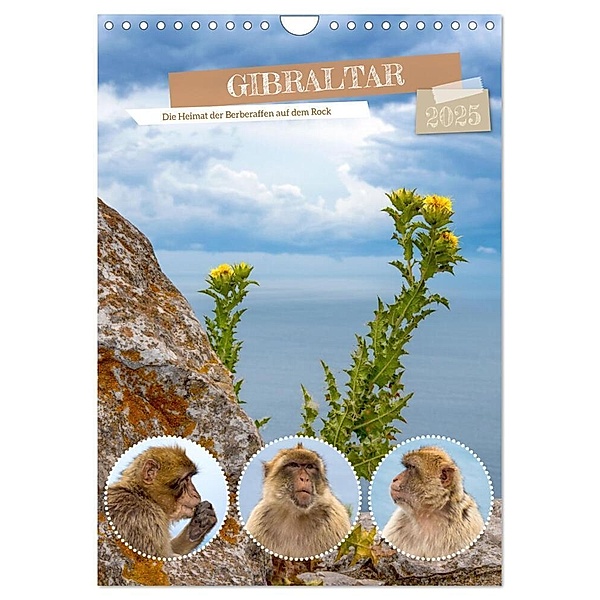Gibraltar - Die Heimat der Berberaffen auf dem Rock (Wandkalender 2025 DIN A4 hoch), CALVENDO Monatskalender, Calvendo, Astrid Ziemer