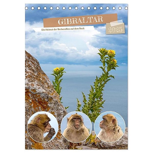 Gibraltar - Die Heimat der Berberaffen auf dem Rock (Tischkalender 2025 DIN A5 hoch), CALVENDO Monatskalender, Calvendo, Astrid Ziemer