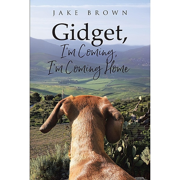 Gidget, I'm Coming, I'm Coming Home, Jake Brown