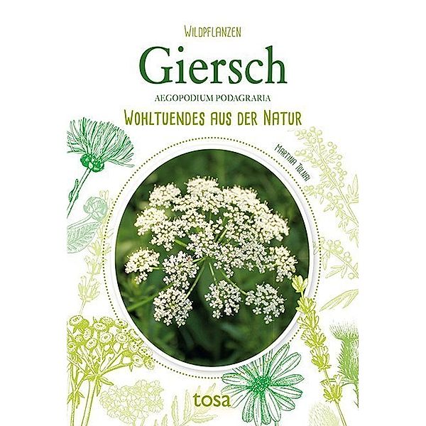 Giersch - Aegopodium Podagraria, Martina Tolnai