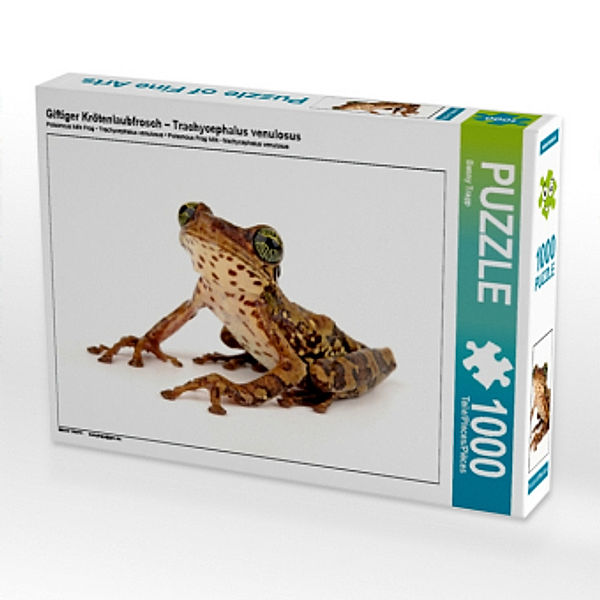 Giftiger Krötenlaubfrosch - Trachycephalus venulosus (Puzzle), Benny Trapp