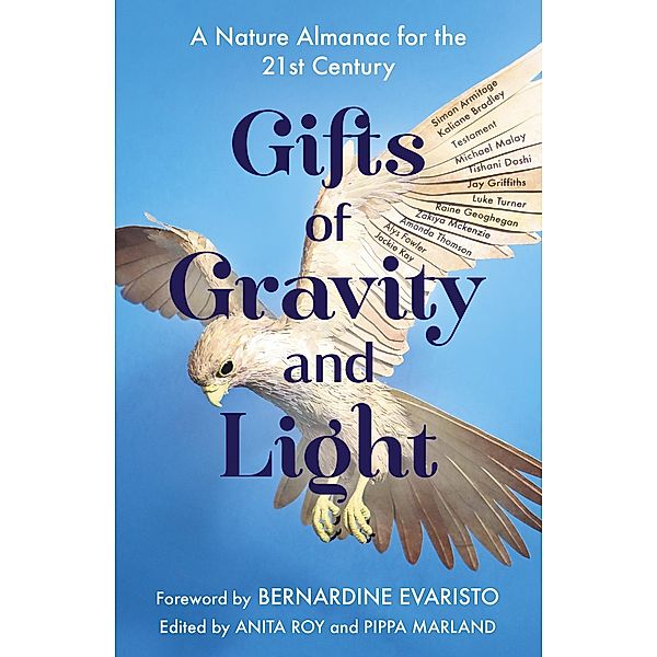 Gifts of Gravity and Light, Anita Roy, Pippa Marland