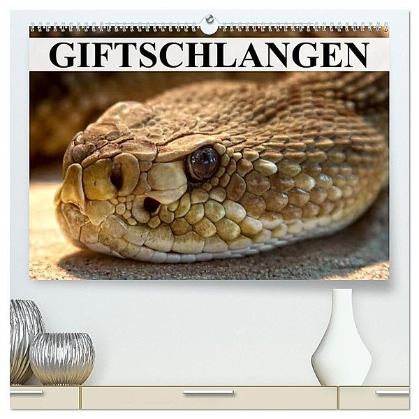 Giftschlangen (hochwertiger Premium Wandkalender 2024 DIN A2 quer), Kunstdruck in Hochglanz, Elisabeth Stanzer