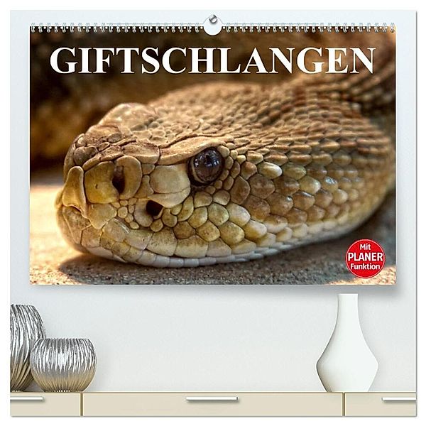 Giftschlangen (hochwertiger Premium Wandkalender 2025 DIN A2 quer), Kunstdruck in Hochglanz, Calvendo, Elisabeth Stanzer