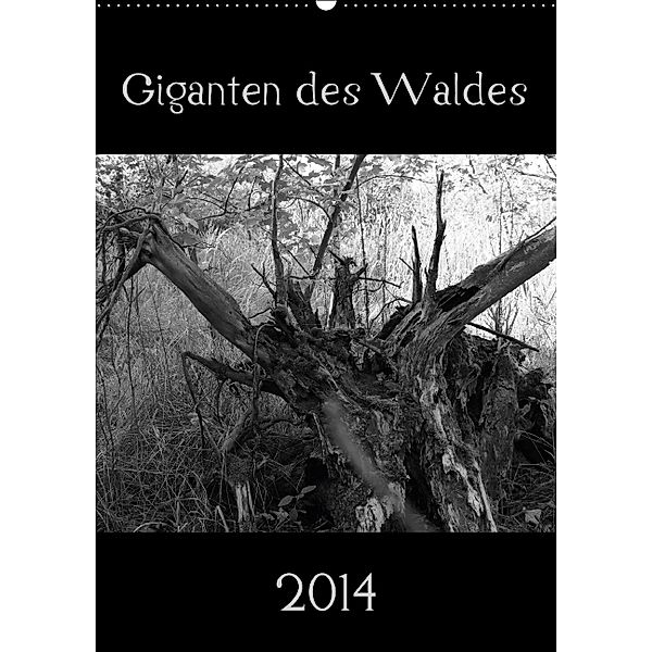 Giganten des Waldes (Wandkalender 2014 DIN A2 hoch), Flori0