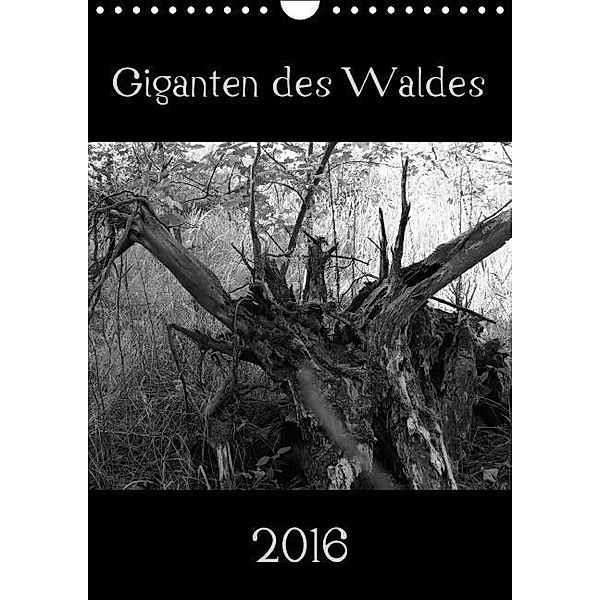 Giganten des Waldes (Wandkalender 2016 DIN A4 hoch), Flori0