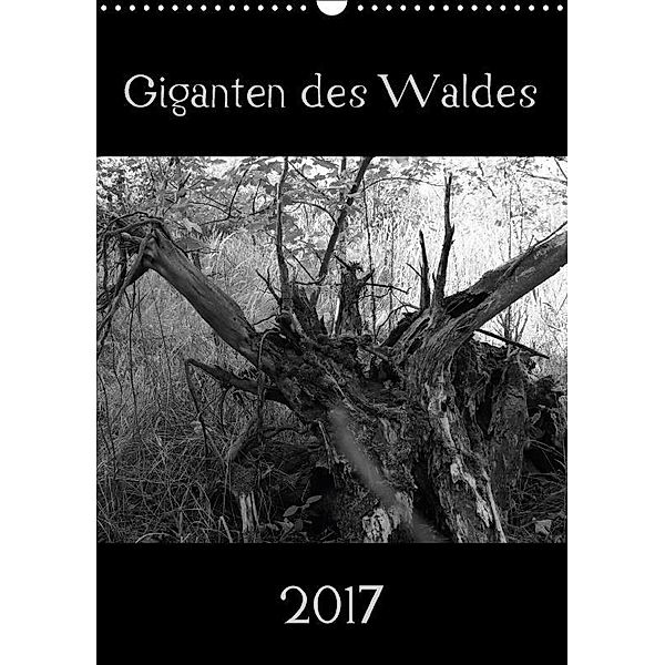 Giganten des Waldes (Wandkalender 2017 DIN A3 hoch), flori0, k.A. Flori0