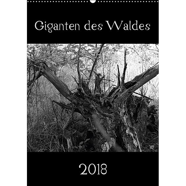 Giganten des Waldes (Wandkalender 2018 DIN A2 hoch), Flori0