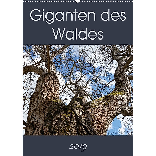 Giganten des Waldes (Wandkalender 2019 DIN A2 hoch), Flori0