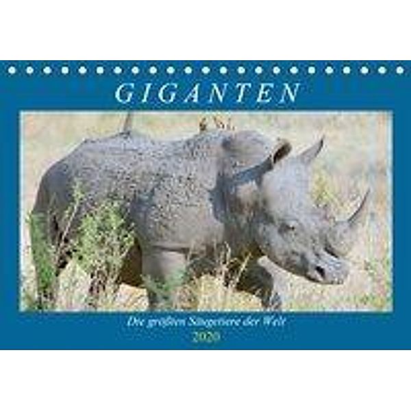 Giganten. Die größten Säugetiere der Welt (Tischkalender 2020 DIN A5 quer), Rose Hurley