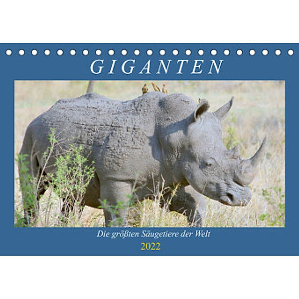 Giganten. Die größten Säugetiere der Welt (Tischkalender 2022 DIN A5 quer), Rose Hurley