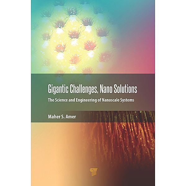 Gigantic Challenges, Nano Solutions, Maher S. Amer