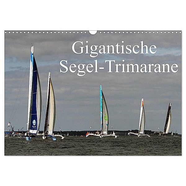 Gigantische Segel-Trimarane (Wandkalender 2024 DIN A3 quer), CALVENDO Monatskalender, Sven Sieveke