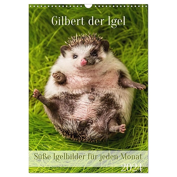 Gilbert der Igel (Wandkalender 2024 DIN A3 hoch), CALVENDO Monatskalender, Linda Geisdorf Photography