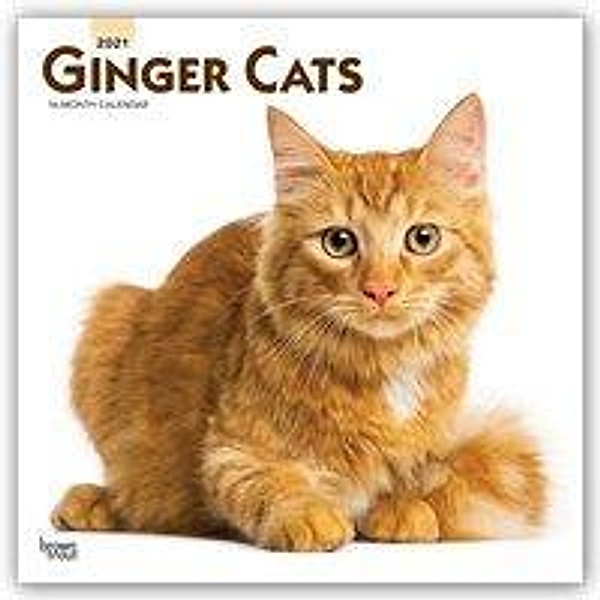 Ginger Cats - Rothaarige Katzen 2021 - 16-Monatskalender, BrownTrout Publisher