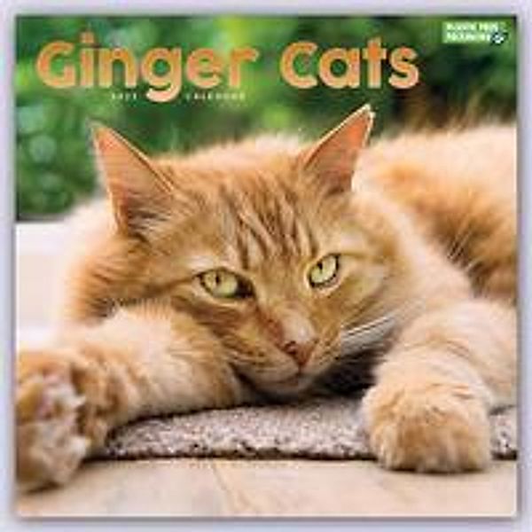 Ginger Cats - Rothaarige Katzen 2023, Carousel Calendar