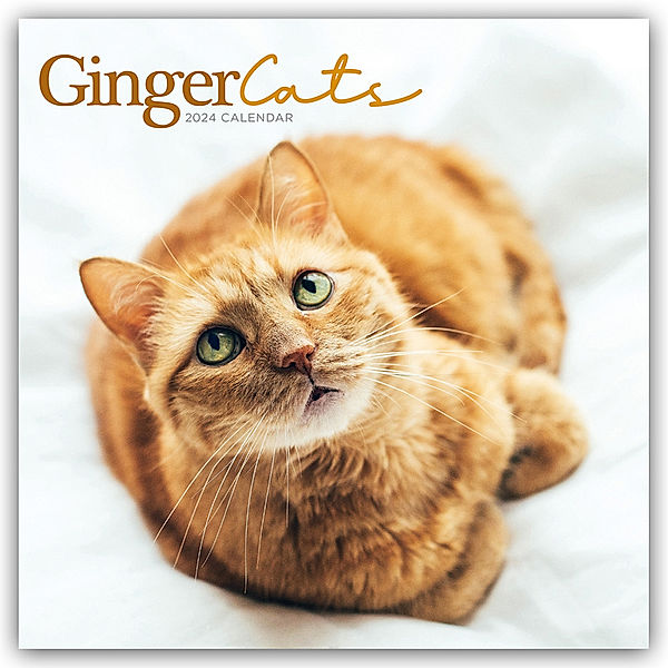 Ginger Cats - Rothaarige Katzen 2024, Carousel Calendar
