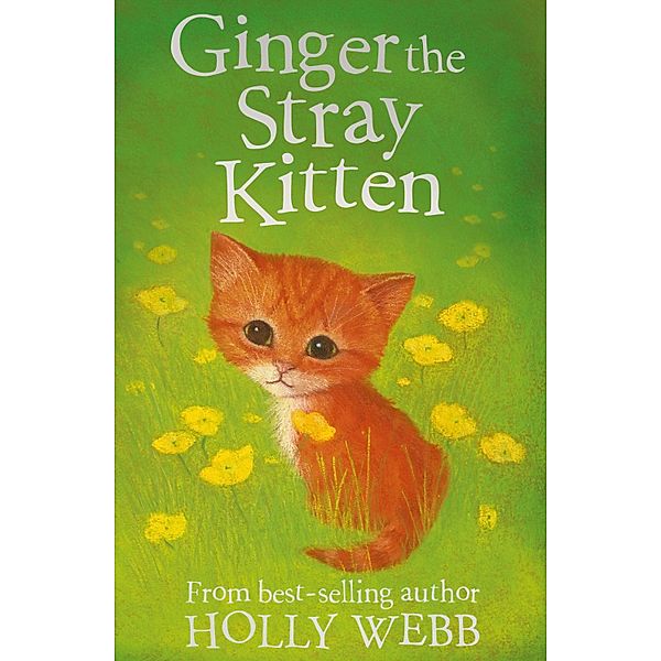Ginger the Stray Kitten, Holly Webb