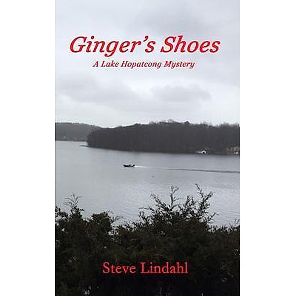 Ginger's Shoes, Steve Lindahl