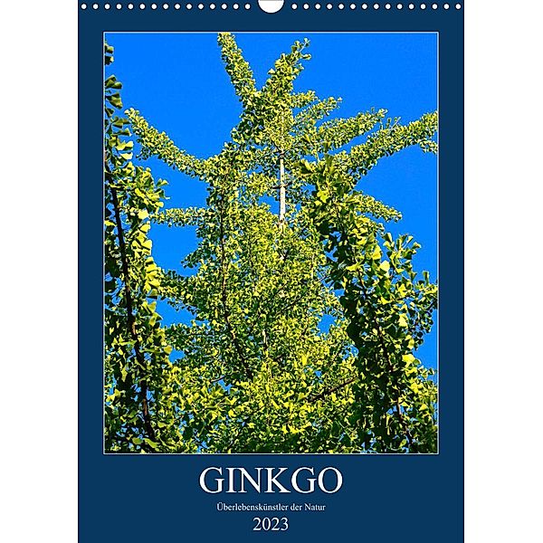 Ginkgo (Wandkalender 2023 DIN A3 hoch), Anette Jäger