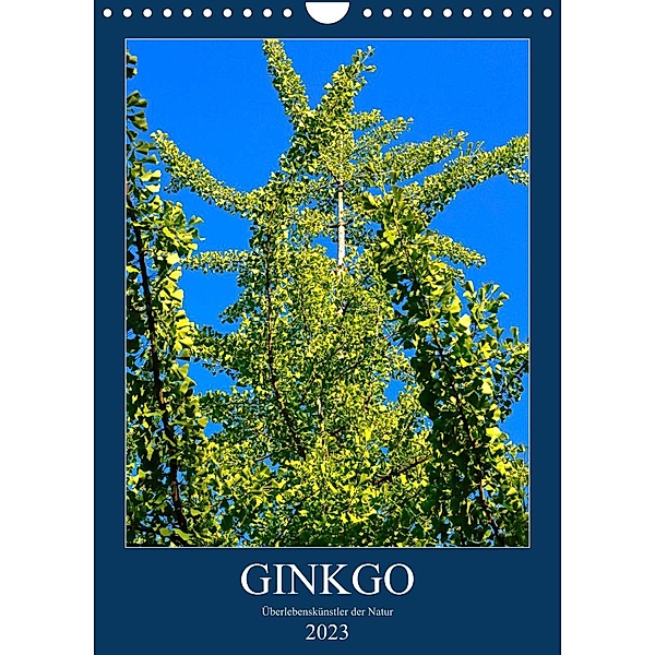 Ginkgo (Wandkalender 2023 DIN A4 hoch), Anette Jäger
