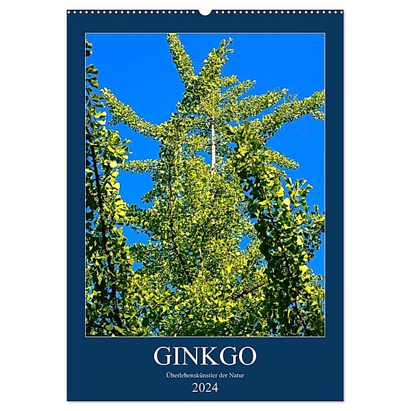 Ginkgo (Wandkalender 2024 DIN A2 hoch), CALVENDO Monatskalender, Anette Jäger