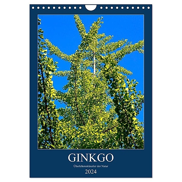 Ginkgo (Wandkalender 2024 DIN A4 hoch), CALVENDO Monatskalender, Anette Jäger