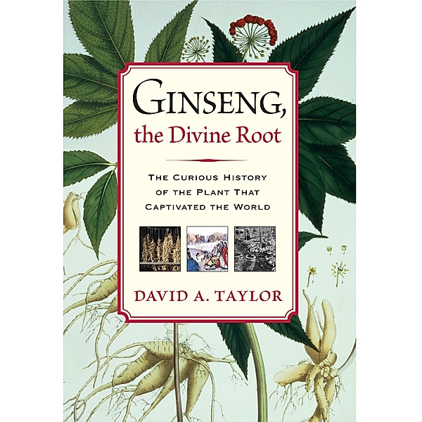 Ginseng, the Divine Root, David A. Taylor