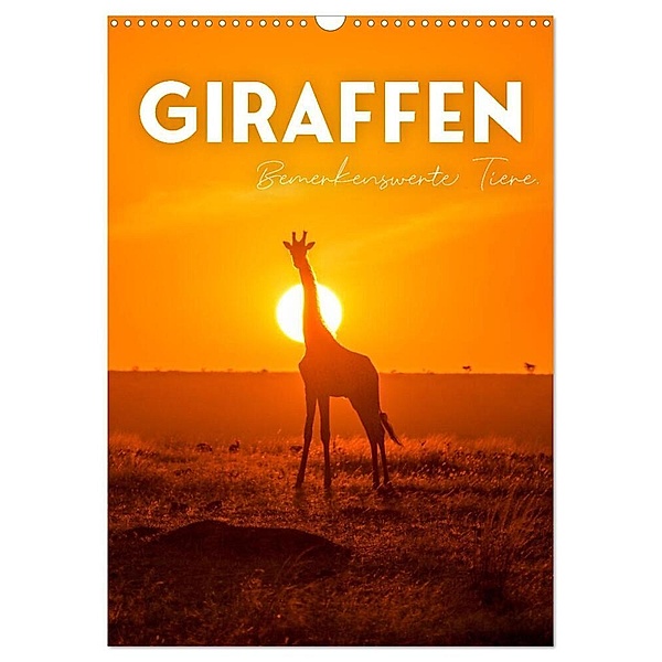 Giraffe - Bemerkenswerte Tiere. (Wandkalender 2024 DIN A3 hoch), CALVENDO Monatskalender, SF