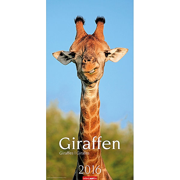 Giraffen 2016