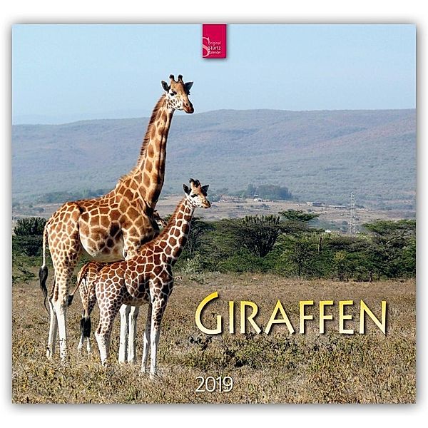 Giraffen 2019