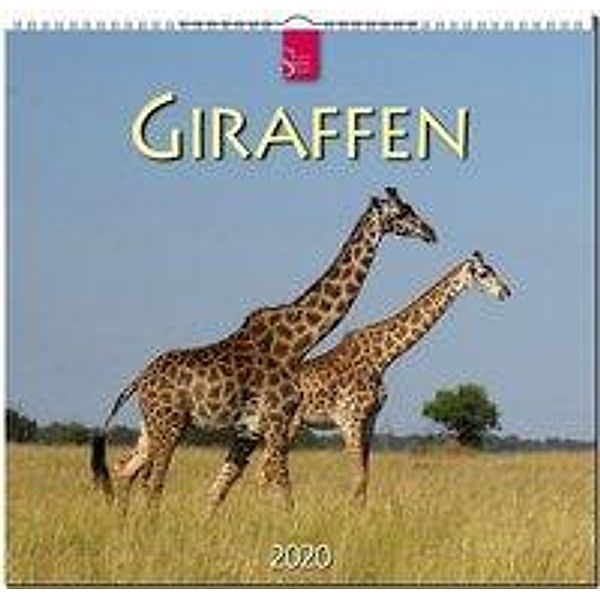 Giraffen 2020