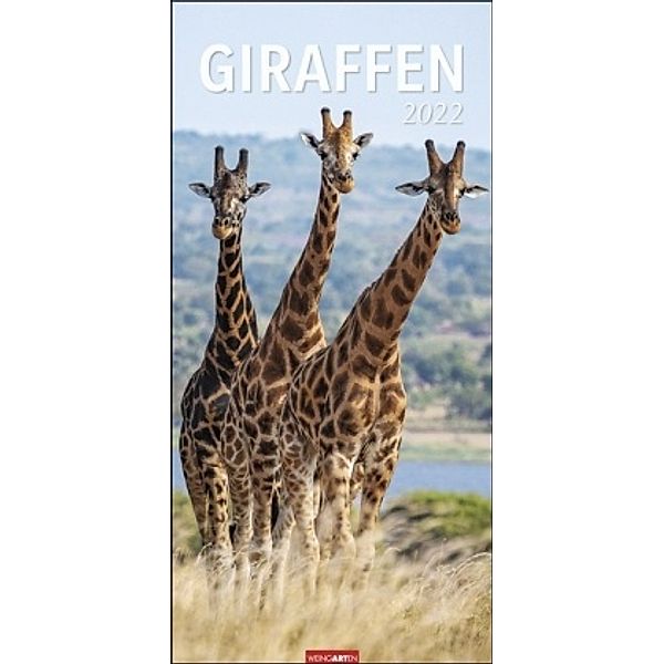 Giraffen 2022