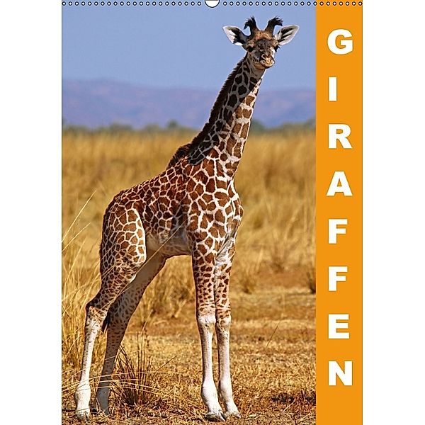 Giraffen - Afrikas Größen (Wandkalender 2018 DIN A2 hoch), Wibke Woyke