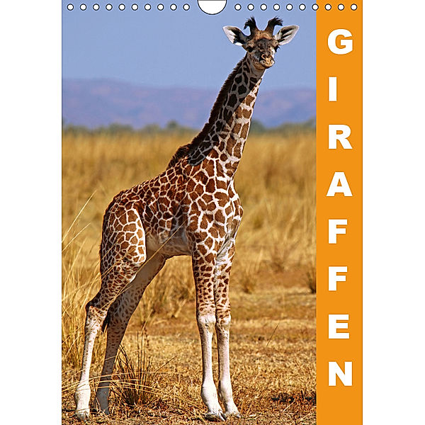 Giraffen - Afrikas Größen (Wandkalender 2019 DIN A4 hoch), Wibke Woyke